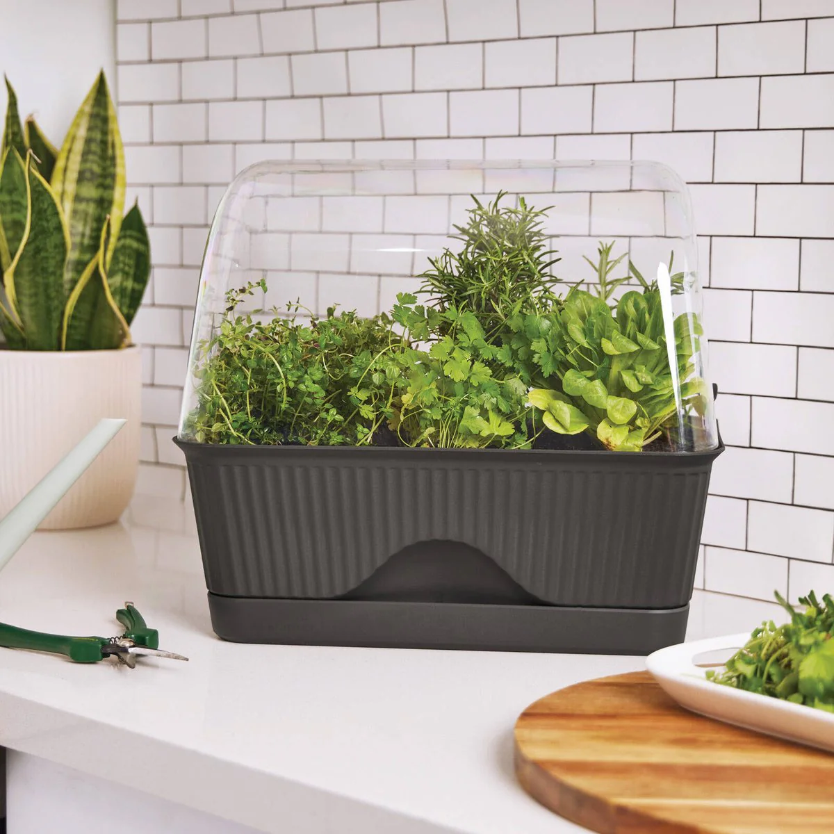 Backyard Farmer Grey Lula Mini Greenhouse - 392mm x 347mm x 239mm - Indoor/Outdoor Use - Image 3