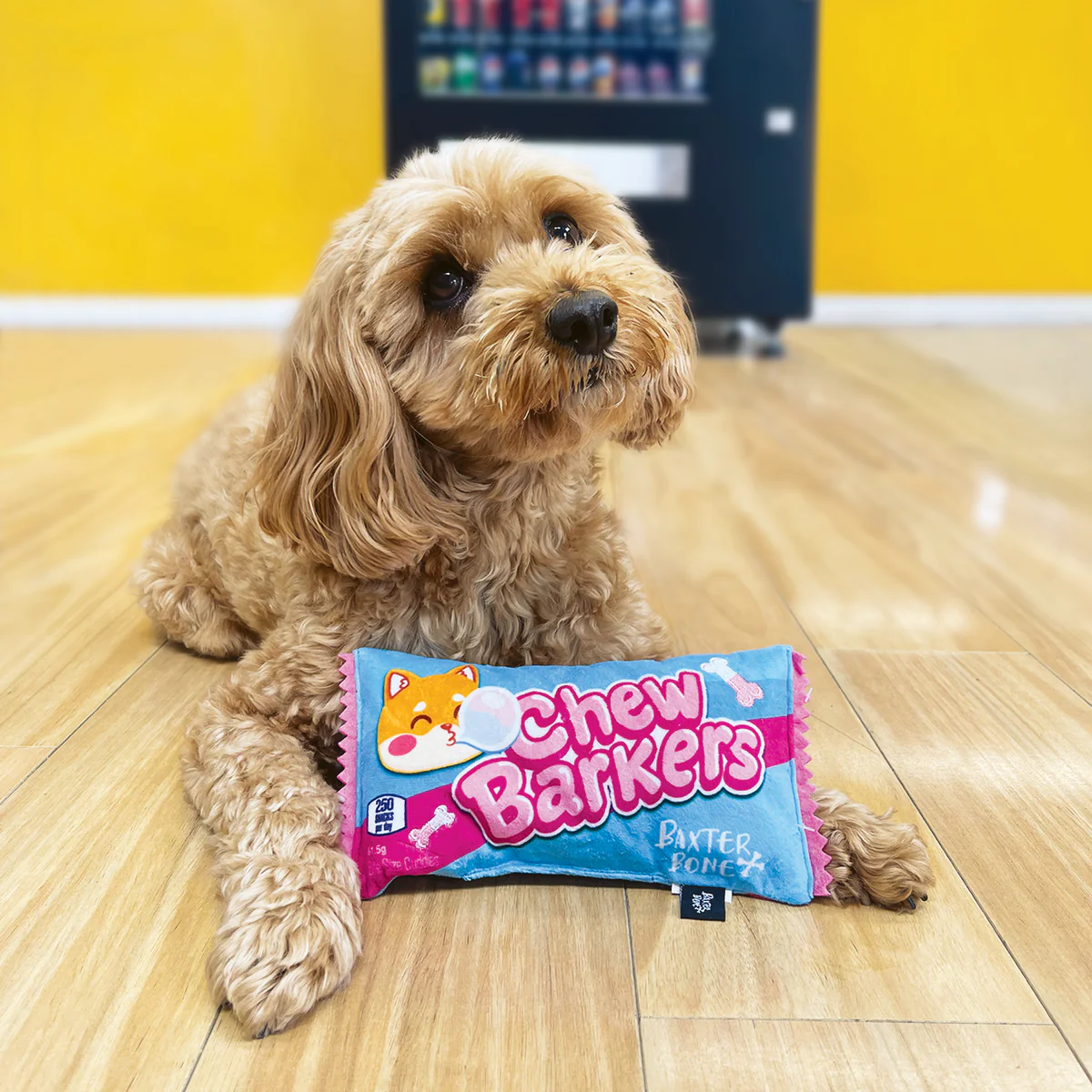 Baxter Bone Chewbarkers Plush Pet Toy - 200mm x 110mm x 40mm - Durable Squeaker - Image 4