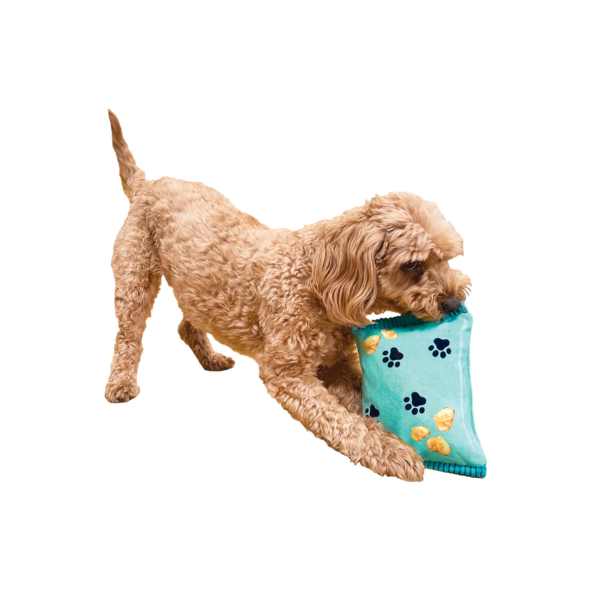 Baxter Bone Salty Dog Chips Pet Toy - Plush Crinkle Toy 170mm - Aqua - Image 5