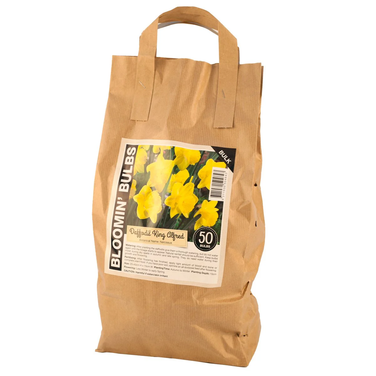 Bloomin Bulbs Daffodil Bulb - 50 Pack - Paper Bag - Easy to Grow - Image 3
