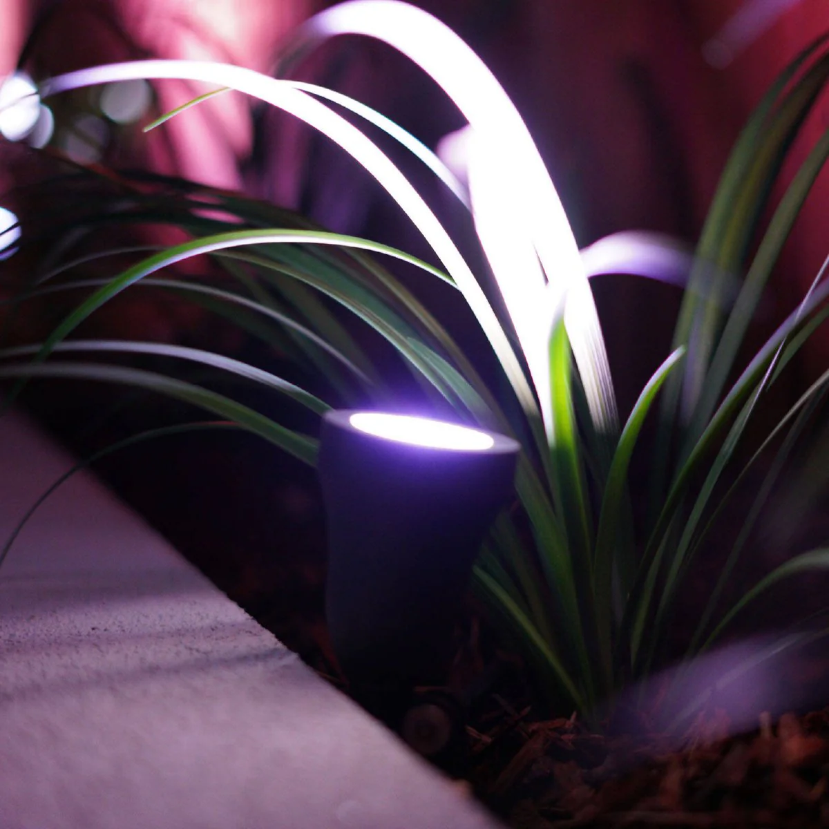 Brilliant Corymbia Smart Wi Fi RGB Garden Light - 12V - Black - 54mm x 150mm x 100mm - Image 5