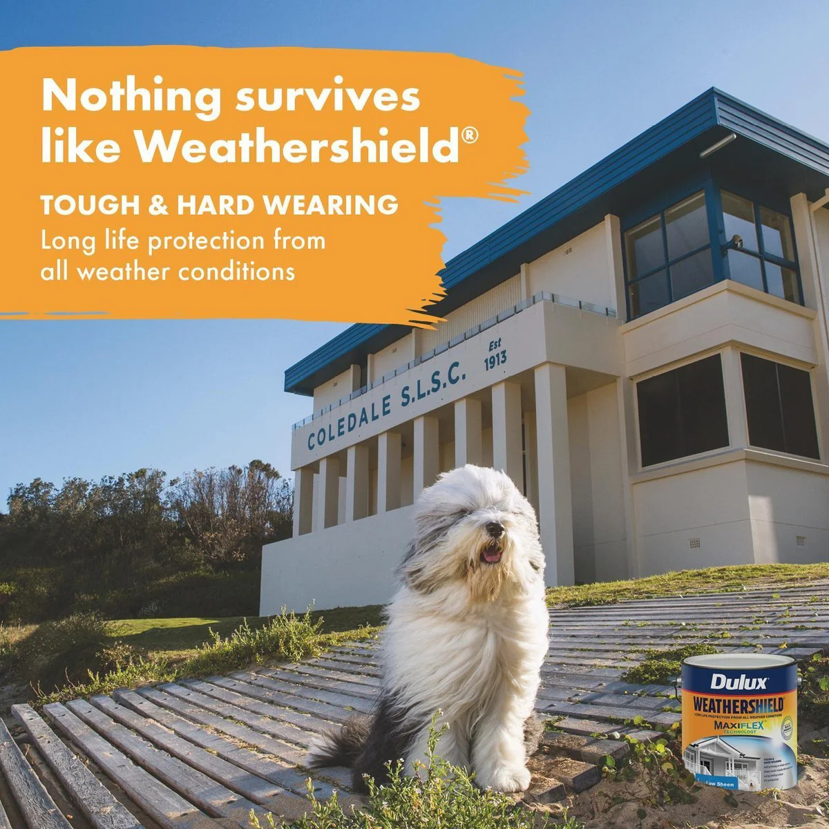 Dulux Weathershield Low Sheen Exterior Paint 4L - Blue - 4L - Image 2