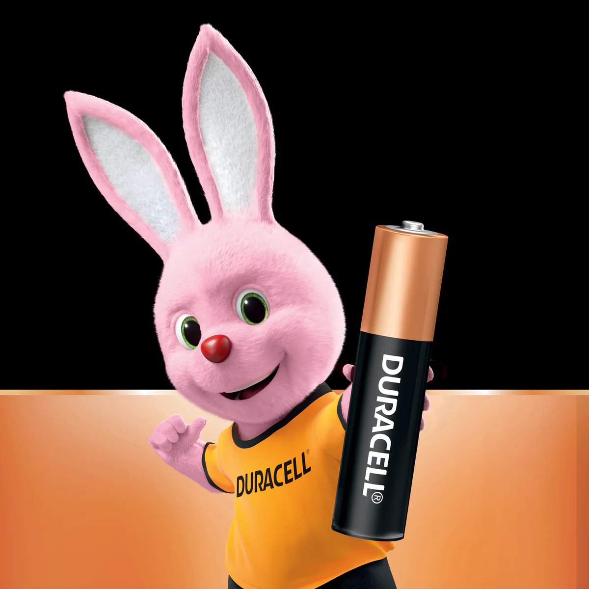 Duracell Coppertop AAA Batteries 24 Pack - Long-Lasting Power - 10 Year Shelf Life - Image 3