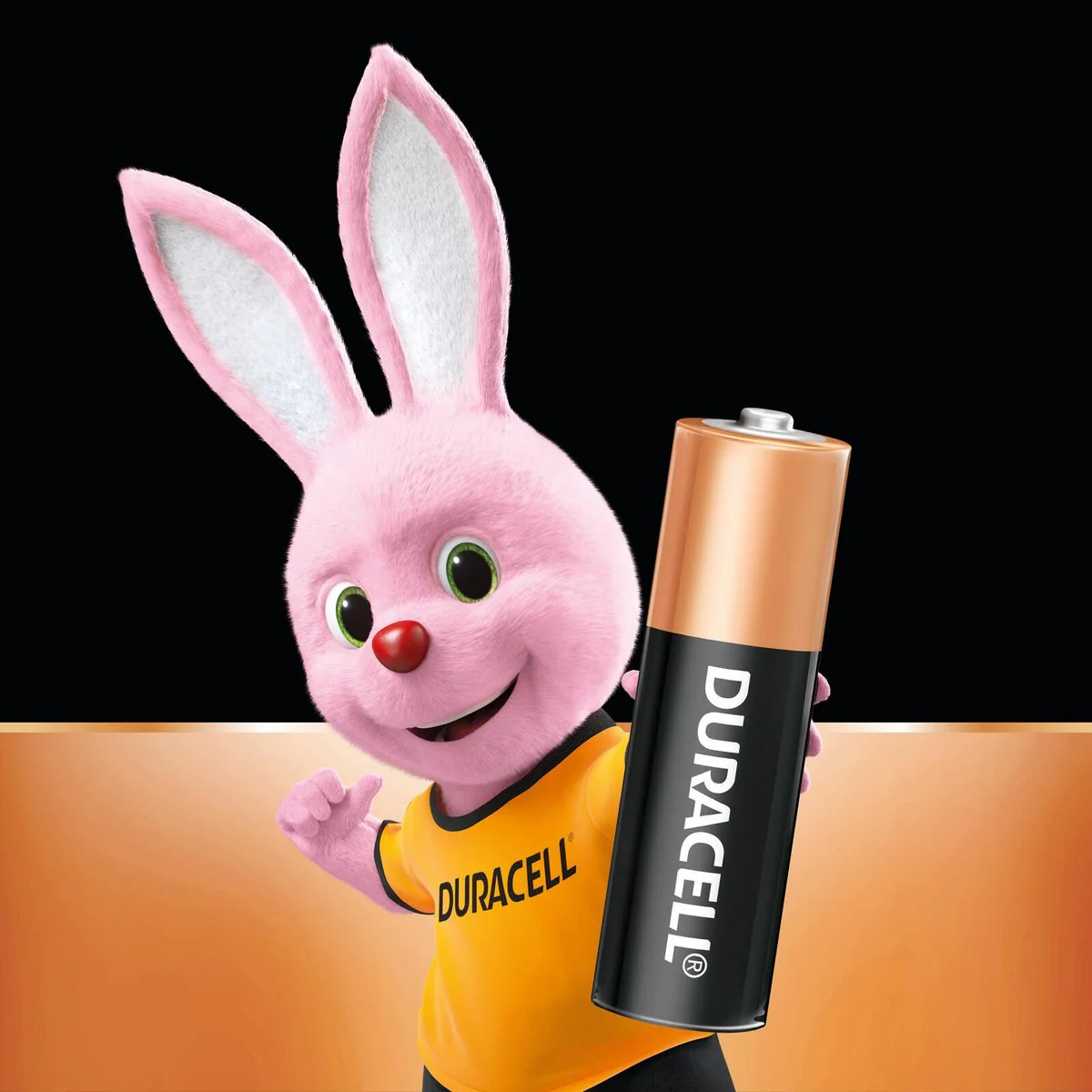 Duracell Coppertop Batteries - AA - Alkaline - Long Lasting Power - Image 3