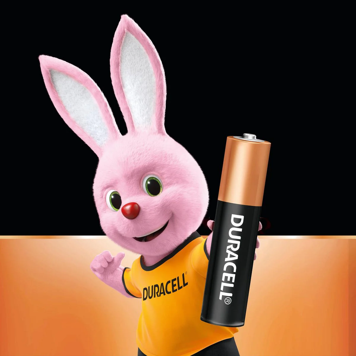 Duracell Coppertop Batteries - AAA - Alkaline - Long Lasting Power - Image 3