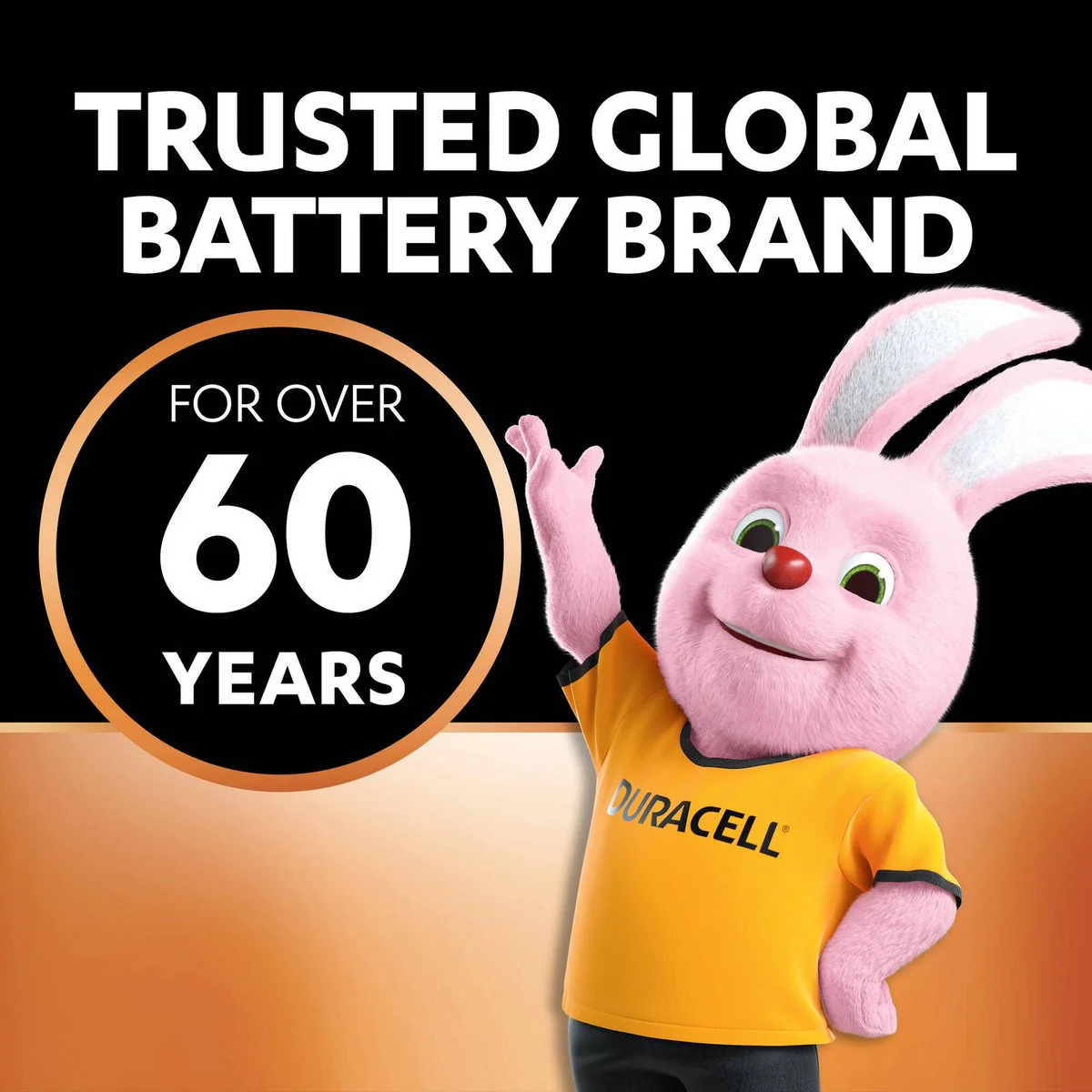 Duracell Coppertop Batteries - AAA - Alkaline - Long Lasting Power - Image 5