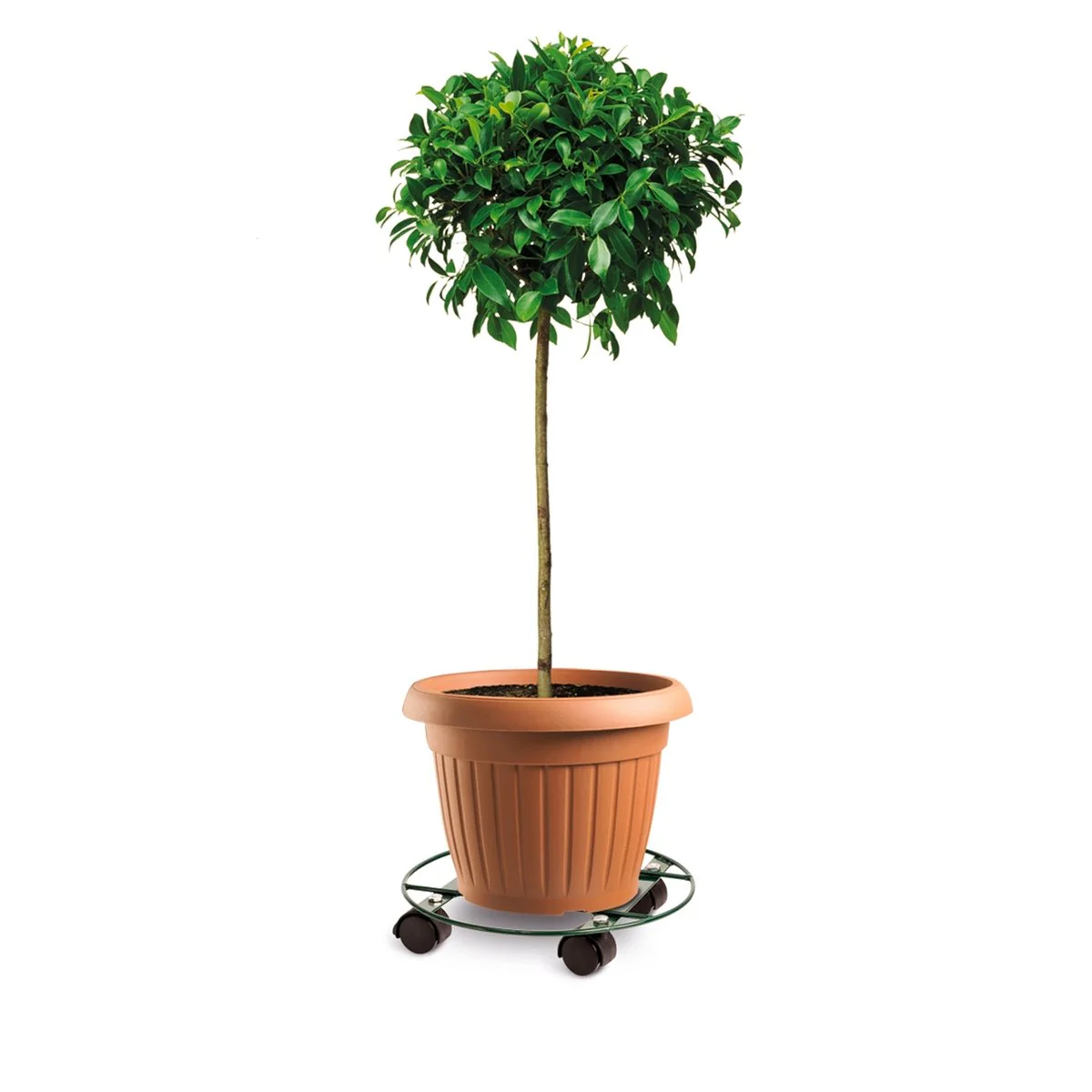 Eden Pot Plant Trolley - 30cm - Metal - Heavy Duty - Image 2