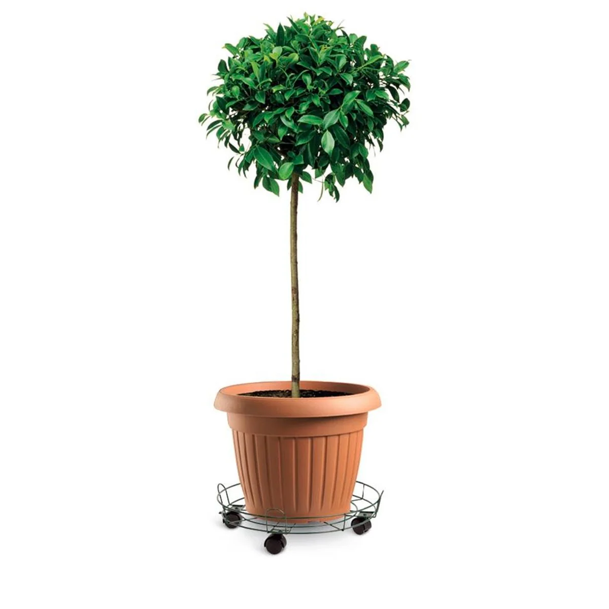 Eden Pot Trolley - 33cm - Heavy Duty - Indoor/Outdoor Use - Image 2