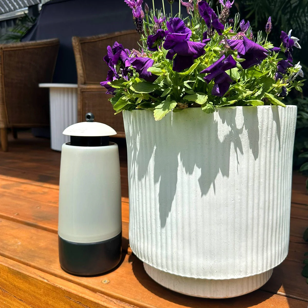 Envirosafe Alfresco Fly Trap - Reusable Outdoor Fly Trap - 120mm x 300mm - Low Odour - Image 5