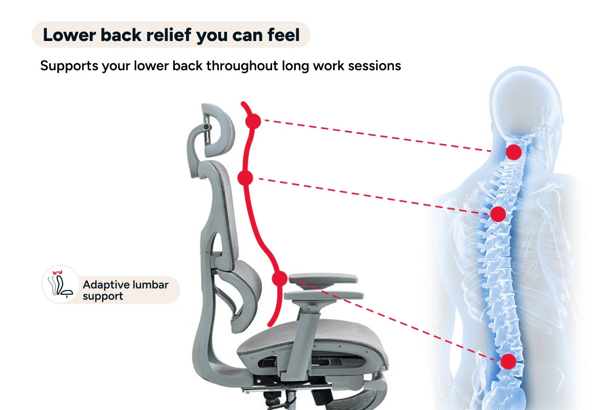 Ergolux EZ11 Ergonomic Office Chair with Adjustable Footrest - Grey - Image 7