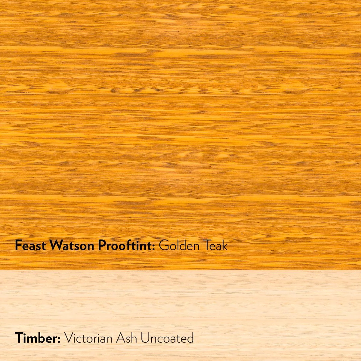 Feast Watson Prooftint Interior Stain - 50ml - Golden Teak - Oil Based - Fast Drying - Image 2