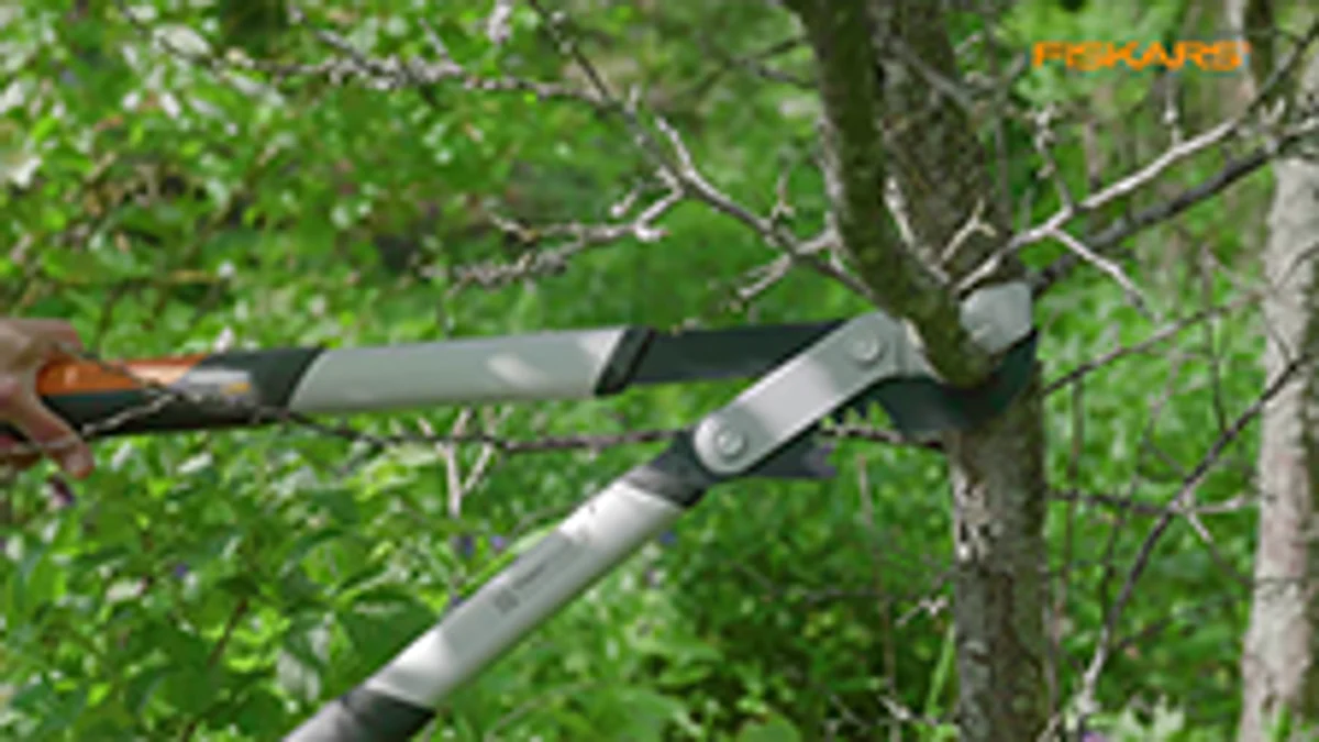 Fiskars PowerGearX Small Bypass Lopper - 38mm - Corrosion Resistant Steel - Image 5