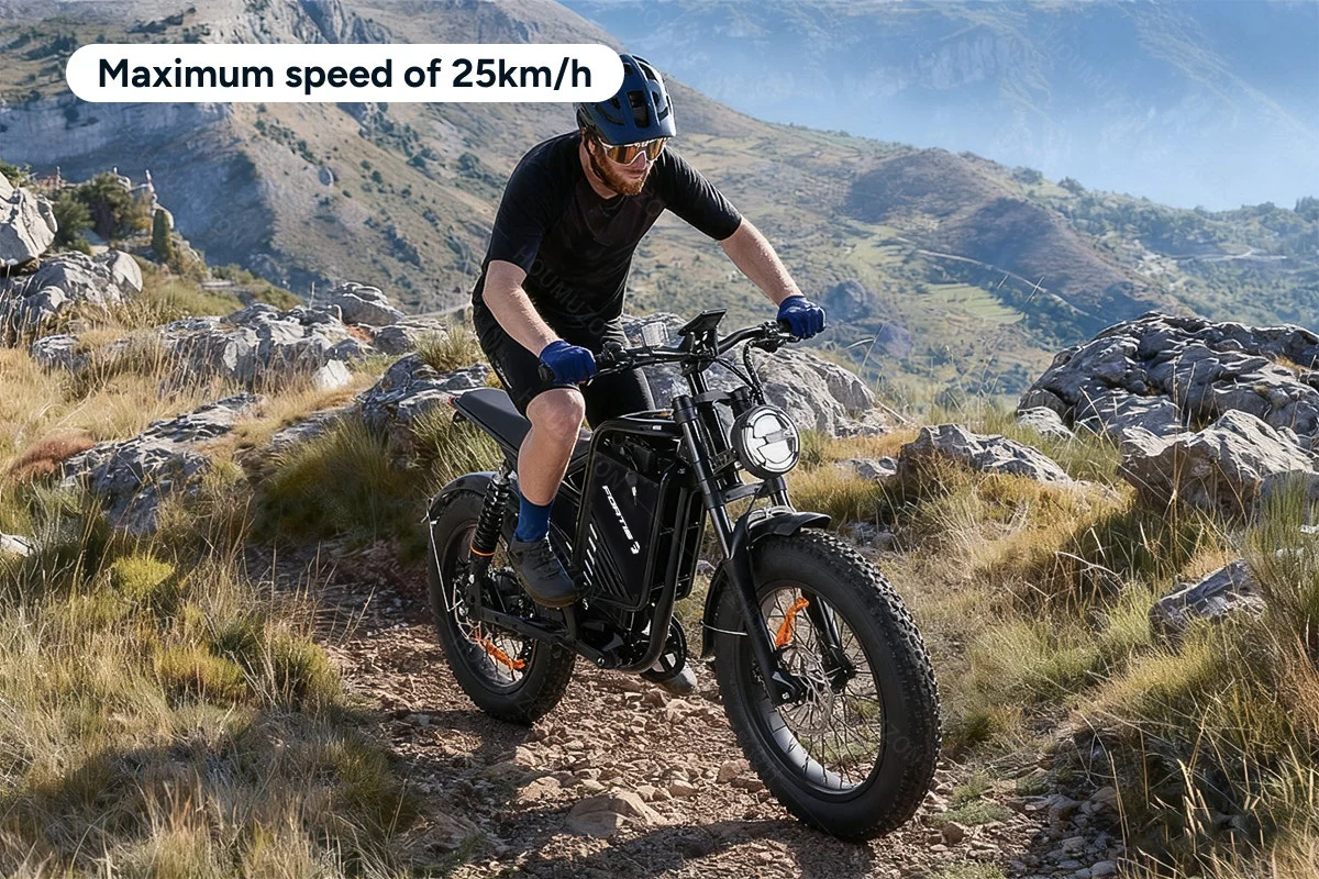 Fortis FatBro Plus 48V 13Ah Electric Bike with Fat Tyres and Suspension - Image 10