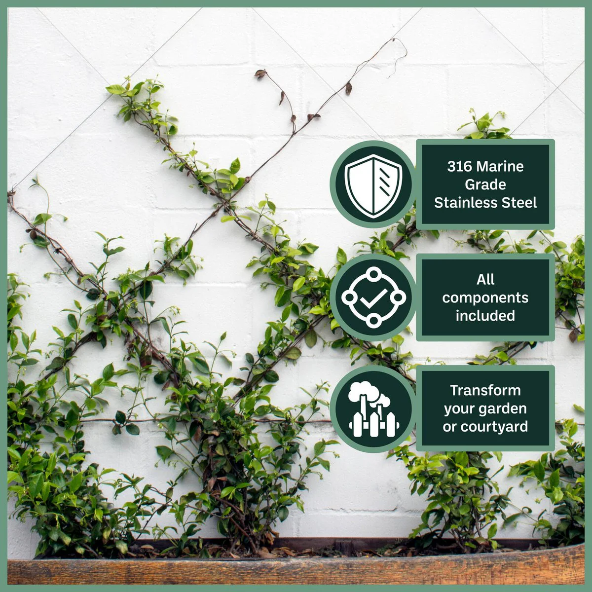 Garden Zen 10m Non Tensioned Wire Wall Plant Trainer Kit - 316 Stainless Steel - Durable Outdoor Support - Image 3