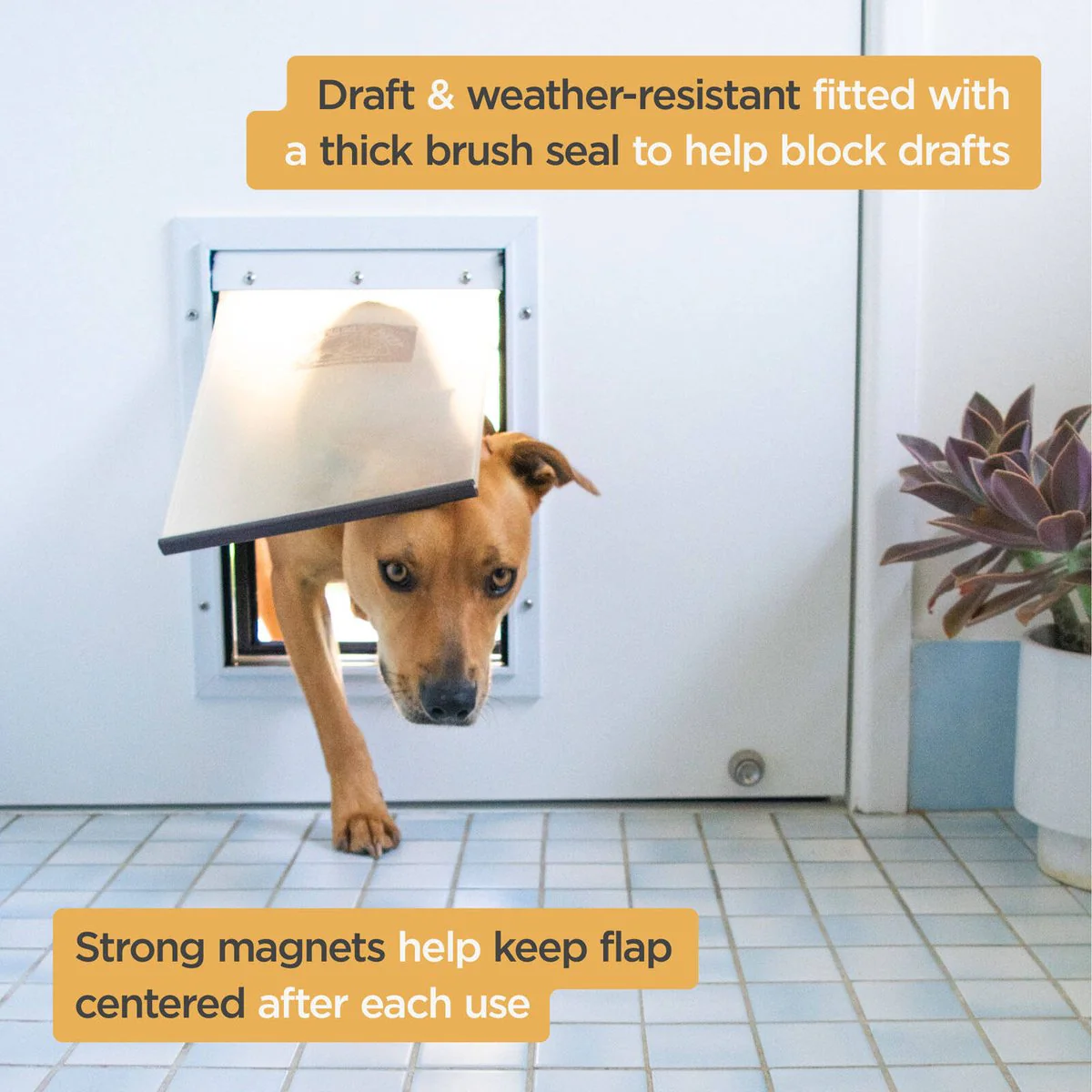 Hakuna Pets Small Pet Door - 170mm x 230mm - Aluminium - Lockable - Image 4