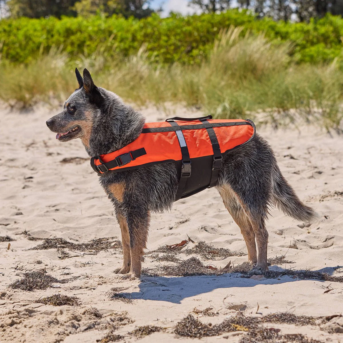 Happy Tails Large Floating Pet Vest - 400mm x 450mm - Safe Water Training - Image 4