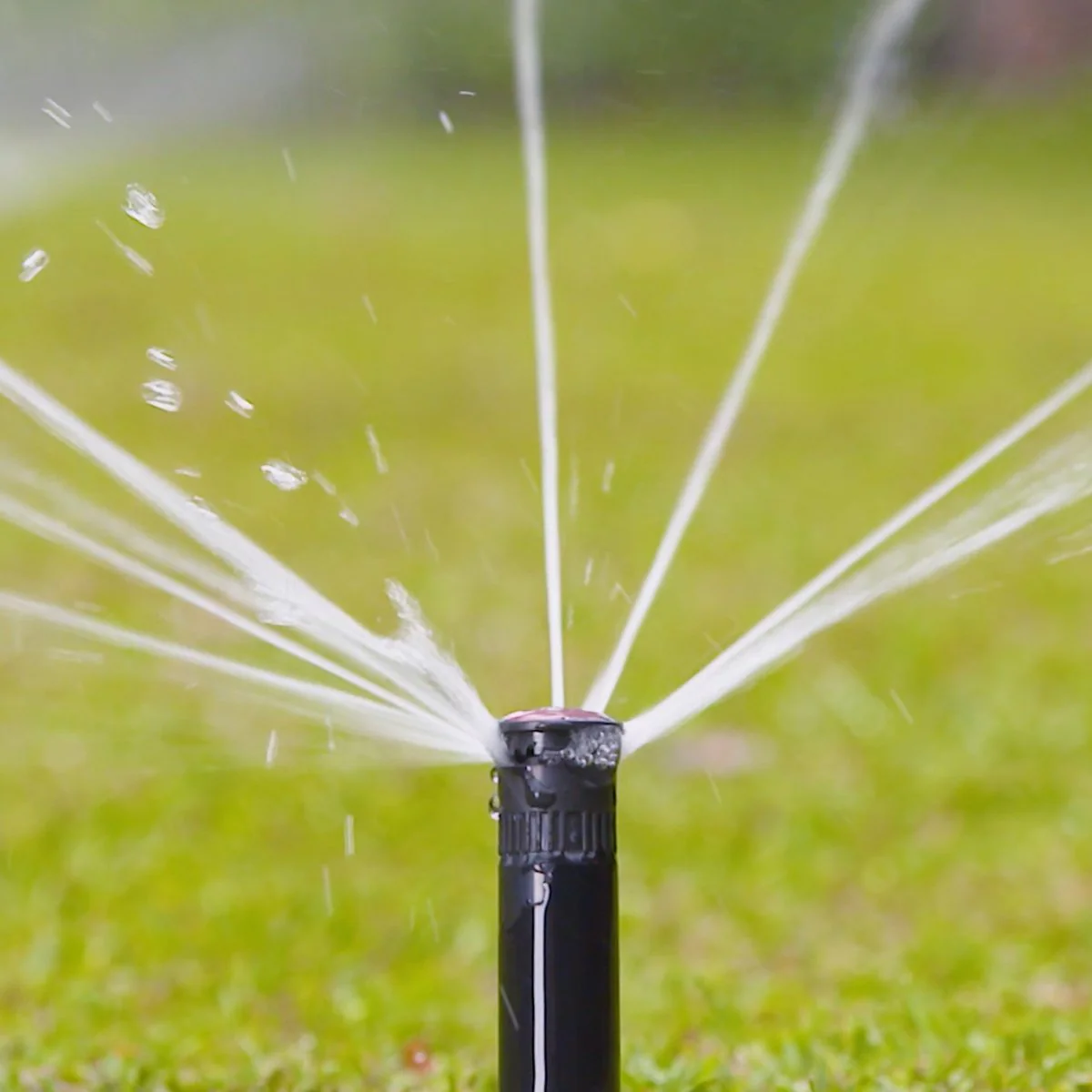 Holman 50mm Longstream Full Circle Rotating Pop Up Sprinkler - Black - Image 4