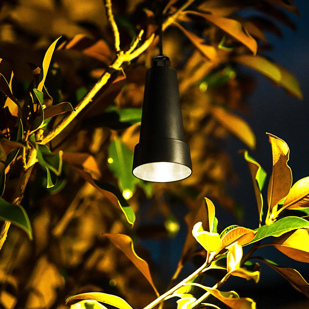 Holman Hanging Tree Light Value Pack - 6 Lights - 5m Cable - Warm White - IP67 Waterproof - Image 2