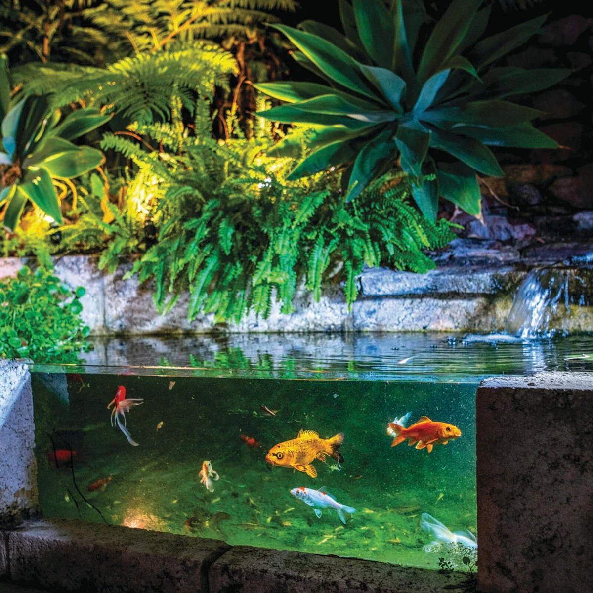 Holman Pond Lights - 3 Pack - Stainless Steel - Bluetooth Controlled - Image 3