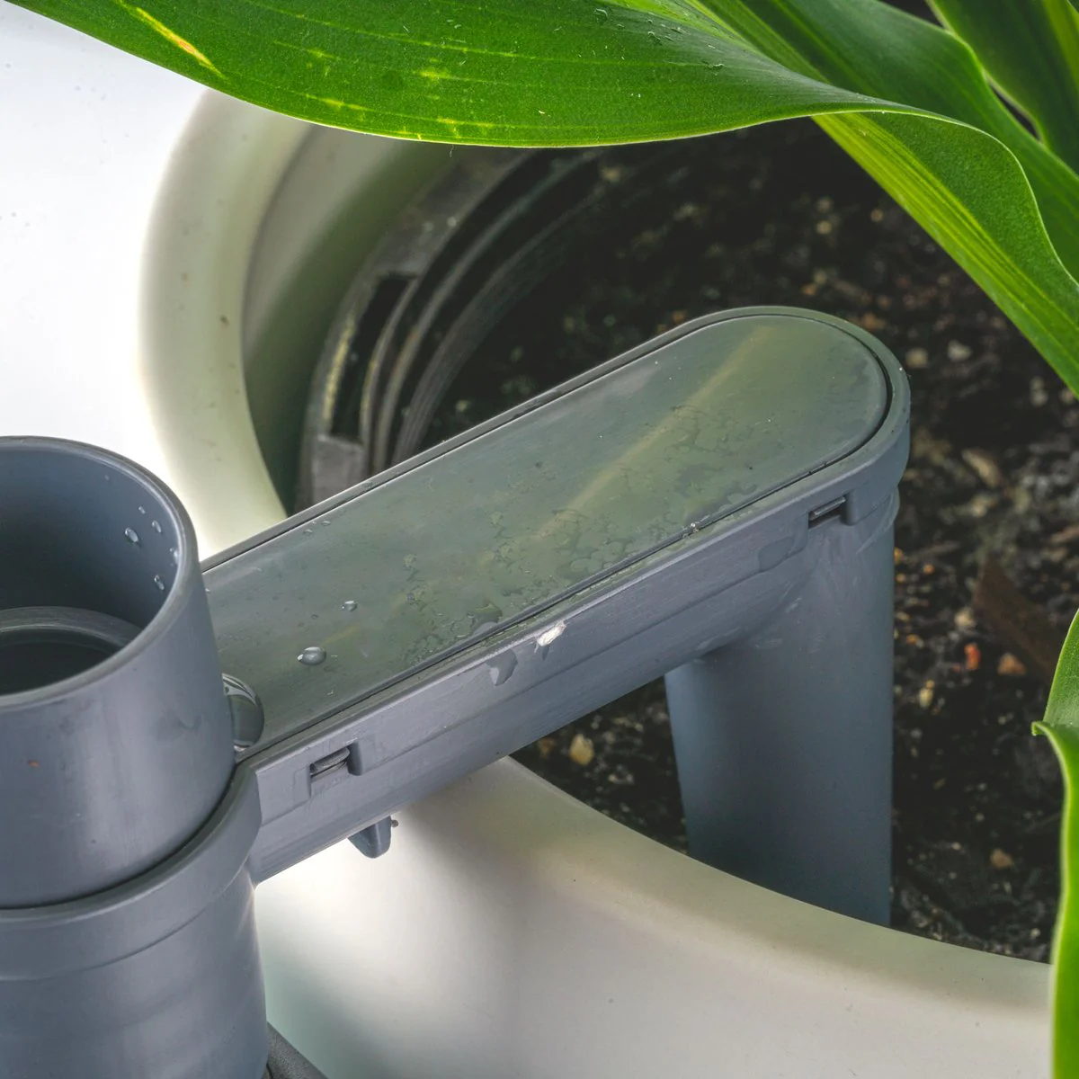 Holman Watermate Self Watering Tank 350ml - 7-Day Hydration - Image 4