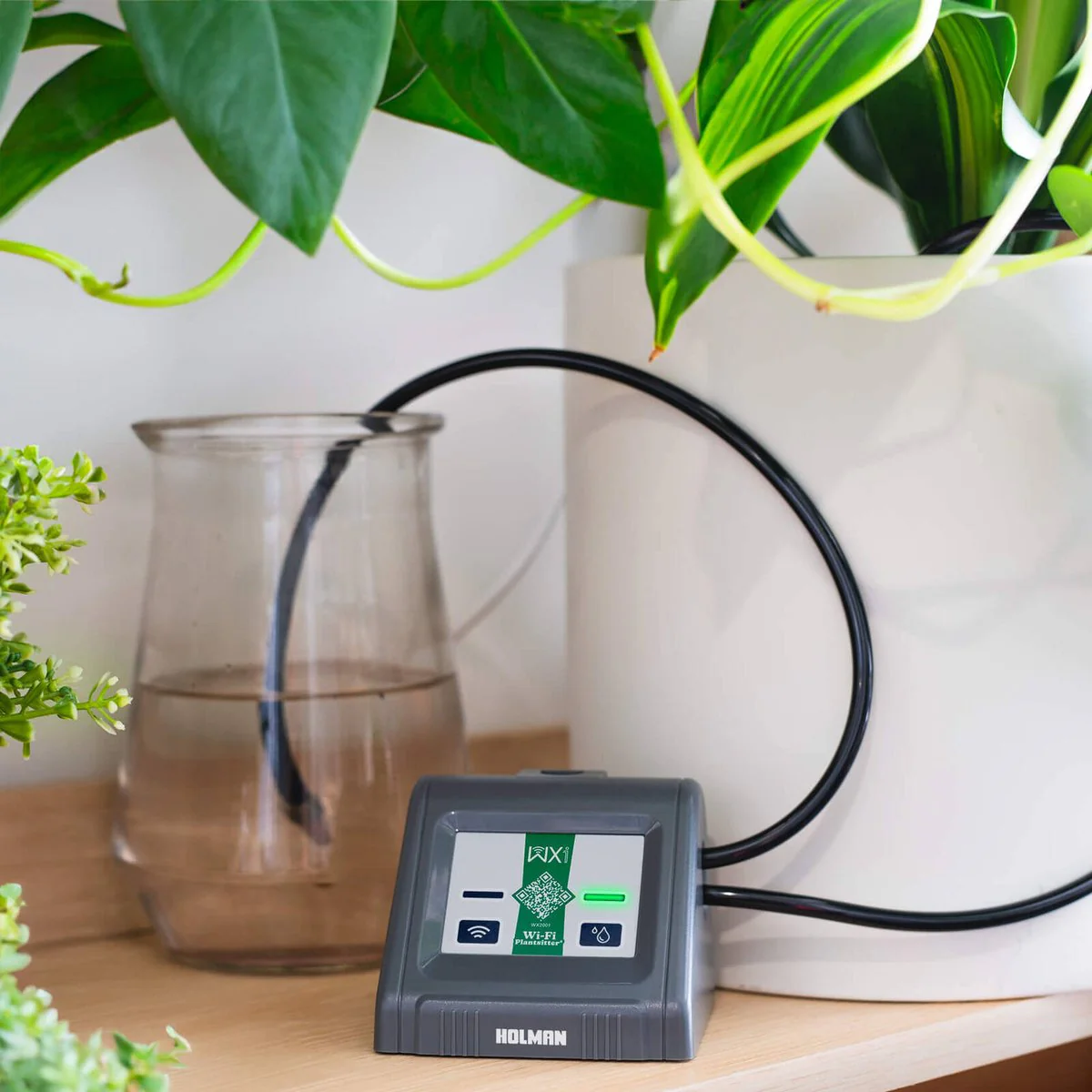 Holman Wi Fi Plantsitter Indoor Timer Kit - 10 Plant Watering System - 216mm x 100mm x 146mm - Image 5