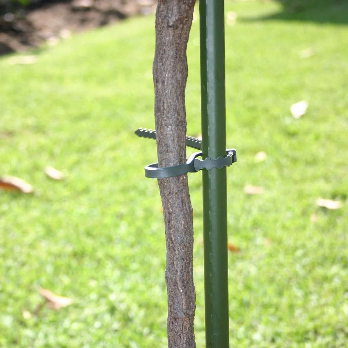 Jack Adjustable Plant Ties - 120mm - Plastic - Reusable - Image 2