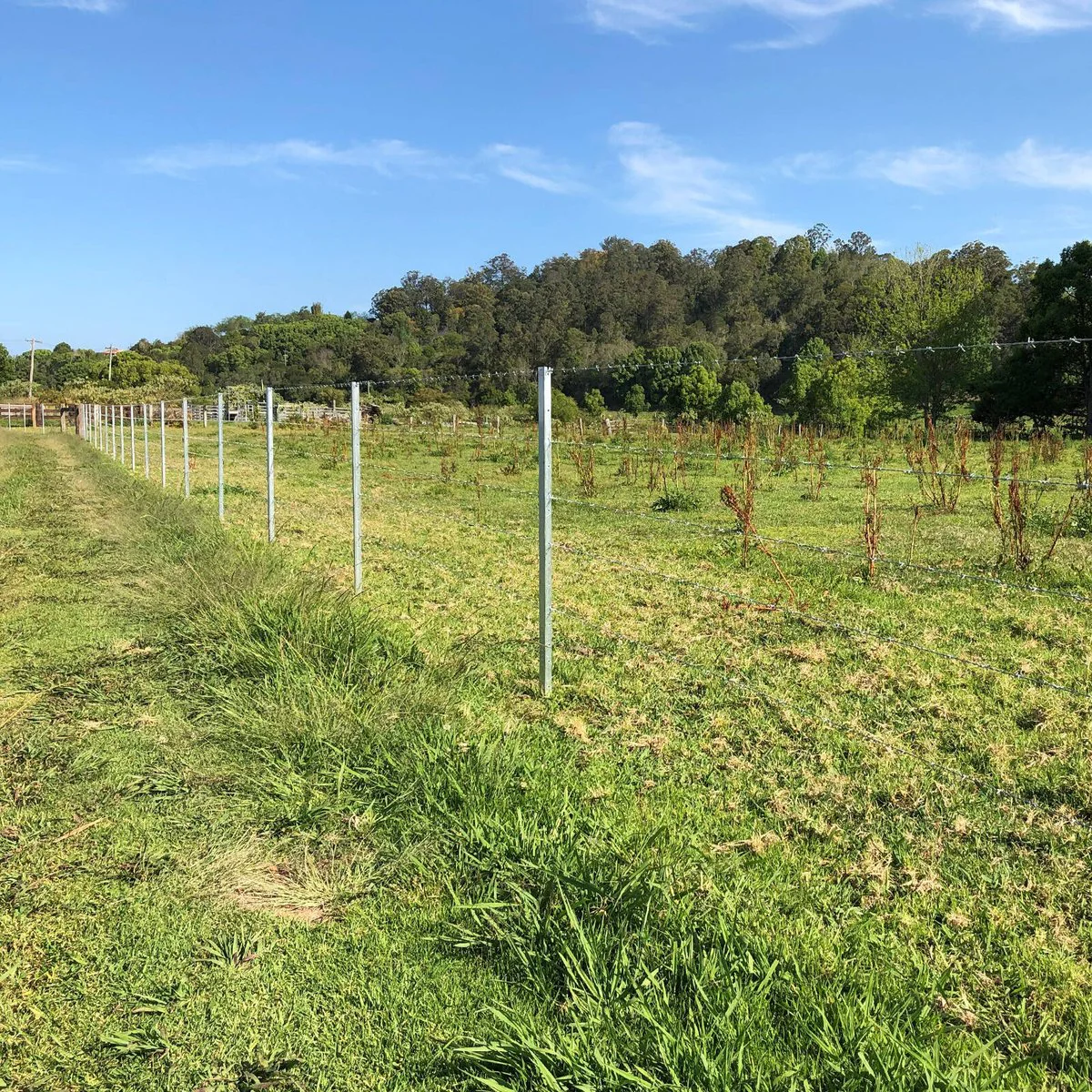 Jack Barbed Wire - 1.57mm x 100m - Galvanised - High Tensile - Image 3