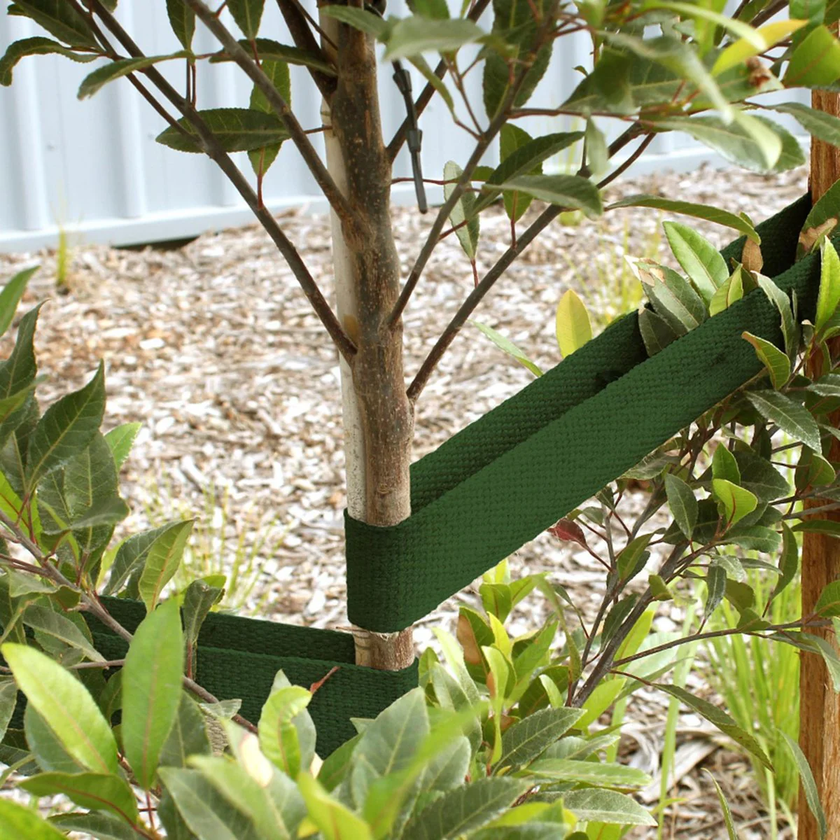 Jack Green Heavy Duty Tree Webbing - 45mm x 50m - UV-Stable - Tree Support - Image 2