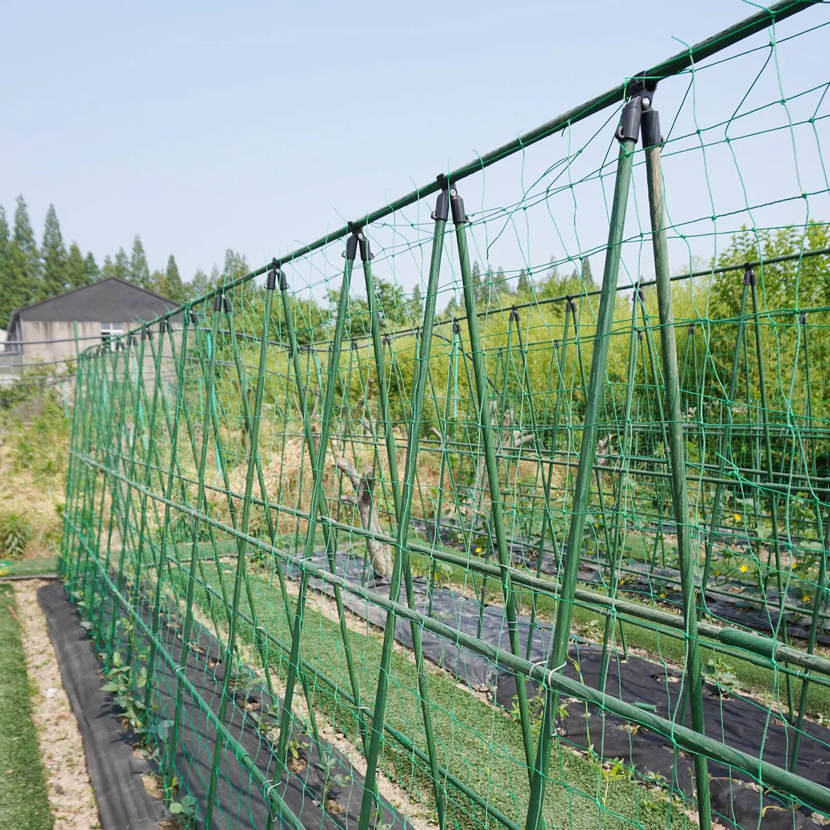 Jack Trellis Netting 1.8 x 2.7m - Green - Supports Climbing Plants - Image 3