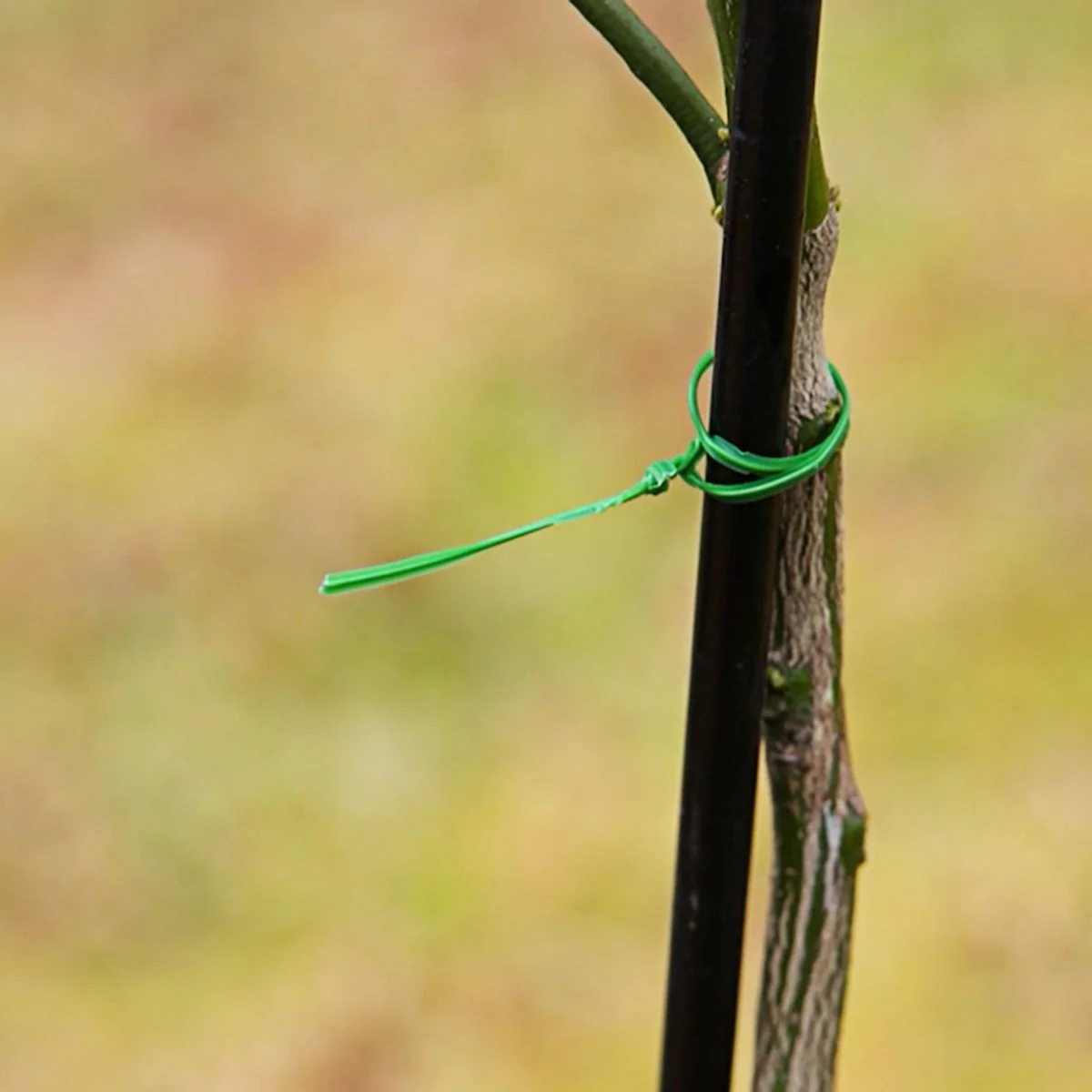 Jack Twist Plant Tie - 100m - Wire/Plastic - Strong Flexible - Image 2
