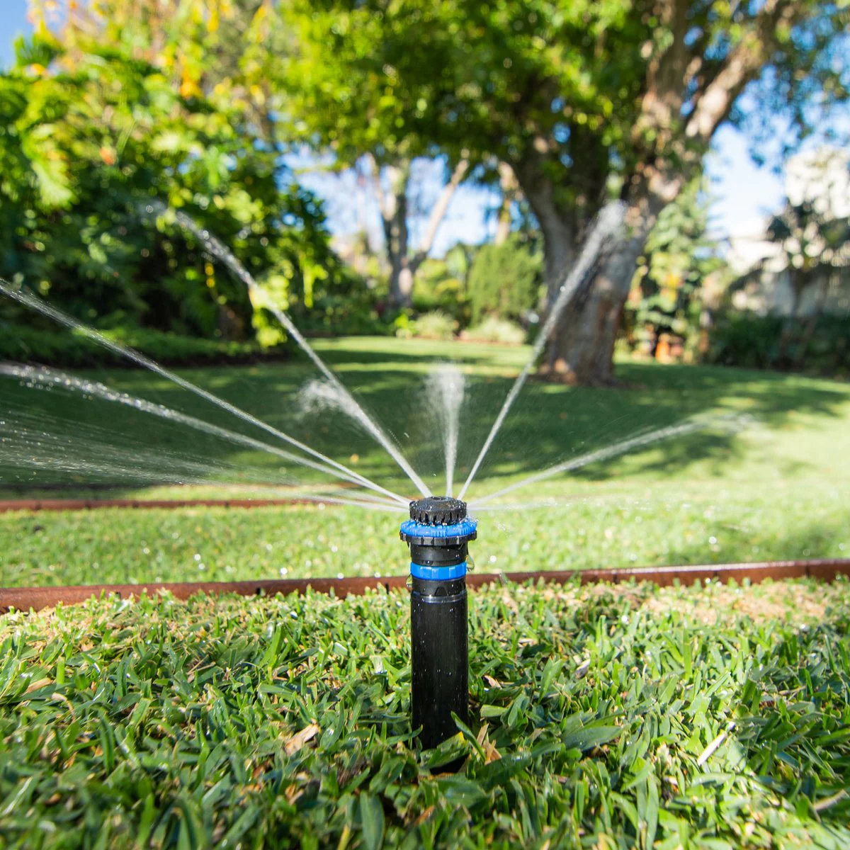 K Rain Popup Sprinkler - 80mm - Plastic - Flush Cap - Image 2