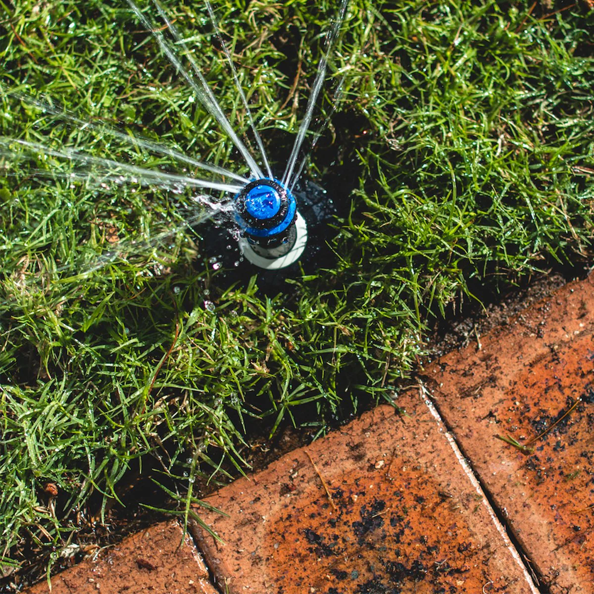 K Rain Popup Sprinkler - 80mm - Plastic - Flush Cap - Image 3