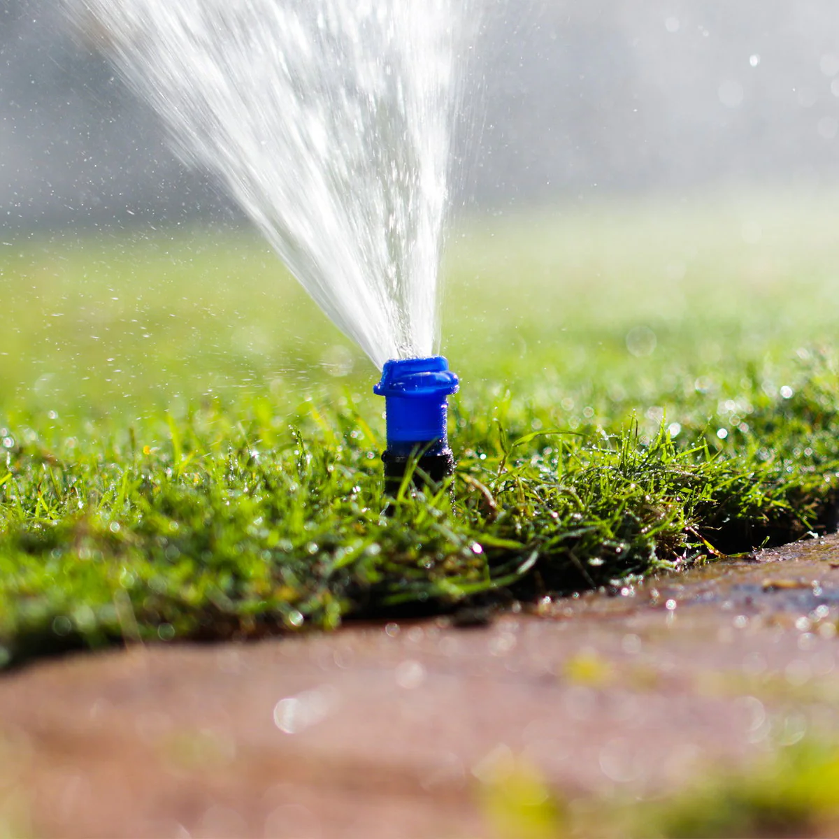 K Rain Popup Sprinkler - 80mm - Plastic - Flush Cap - Image 4
