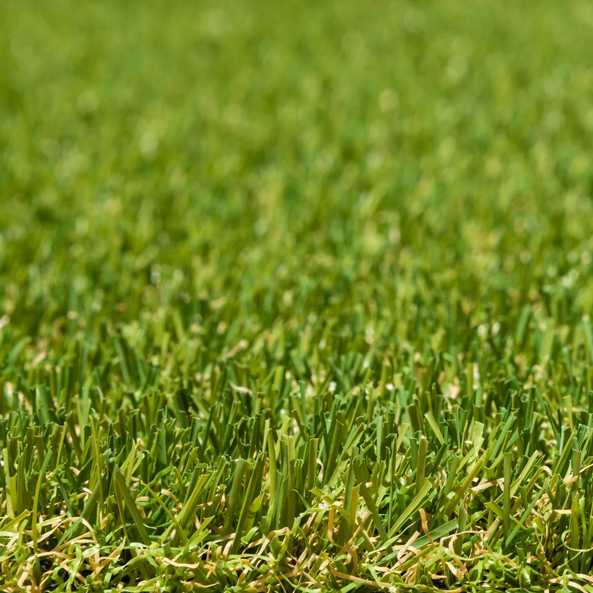 Lifestyle Turf - 1 x 4m - PP/PE - Pet Friendly - Image 3