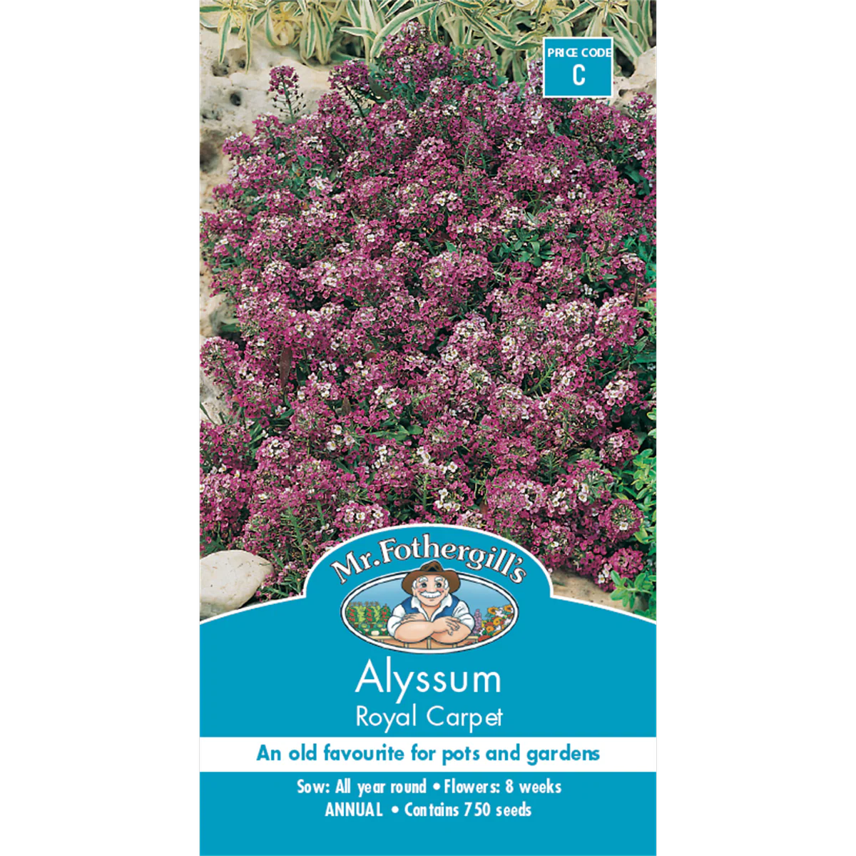 Mr Fothergill Alyssum Flower Seeds - 8 Weeks - Dark Violet - Edging Use