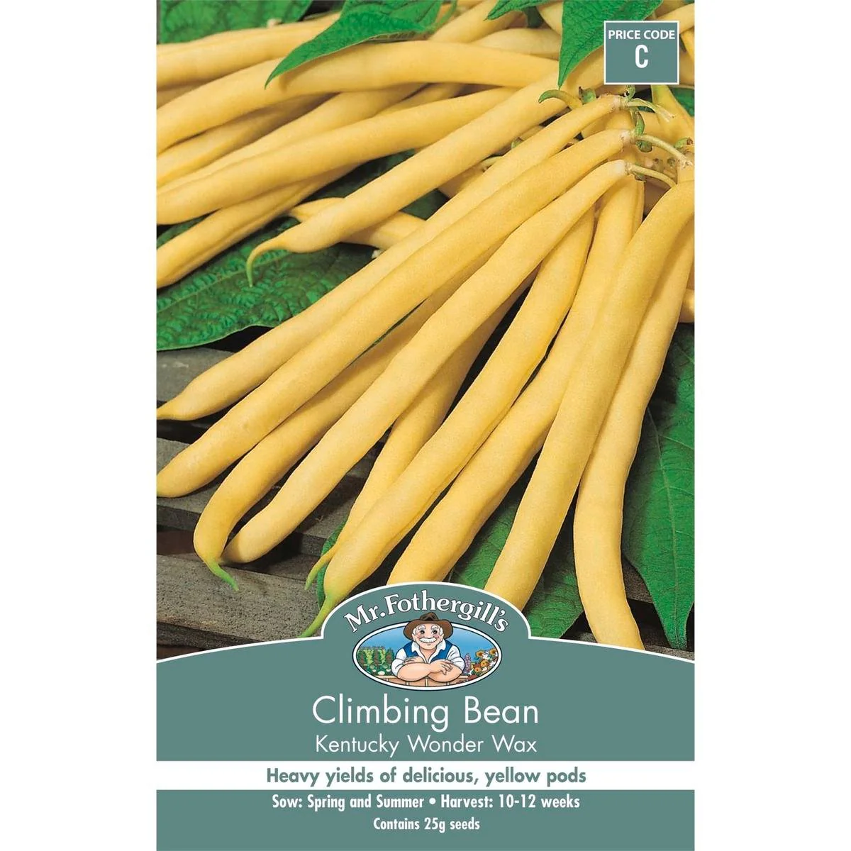 Mr Fothergill Climbing Bean - 15-20cm - Seeds - Heirloom Variety