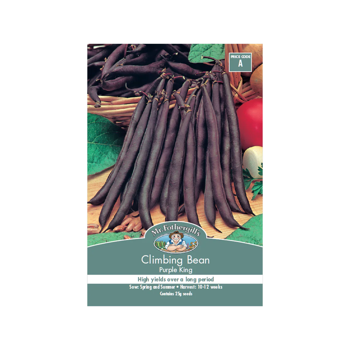 Mr Fothergill Climbing Bean - 240cm - Seed - Purple Variety