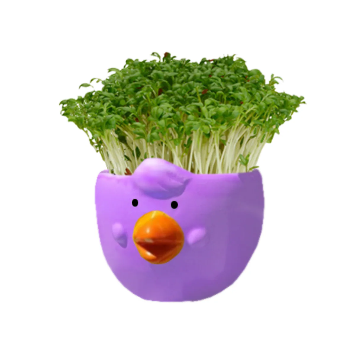 Mr Fothergill Cress Chick Grow Kit - Assorted Colours - 1 Ceramic Pot - 6 x 6 x 4.5 cm - Image 3