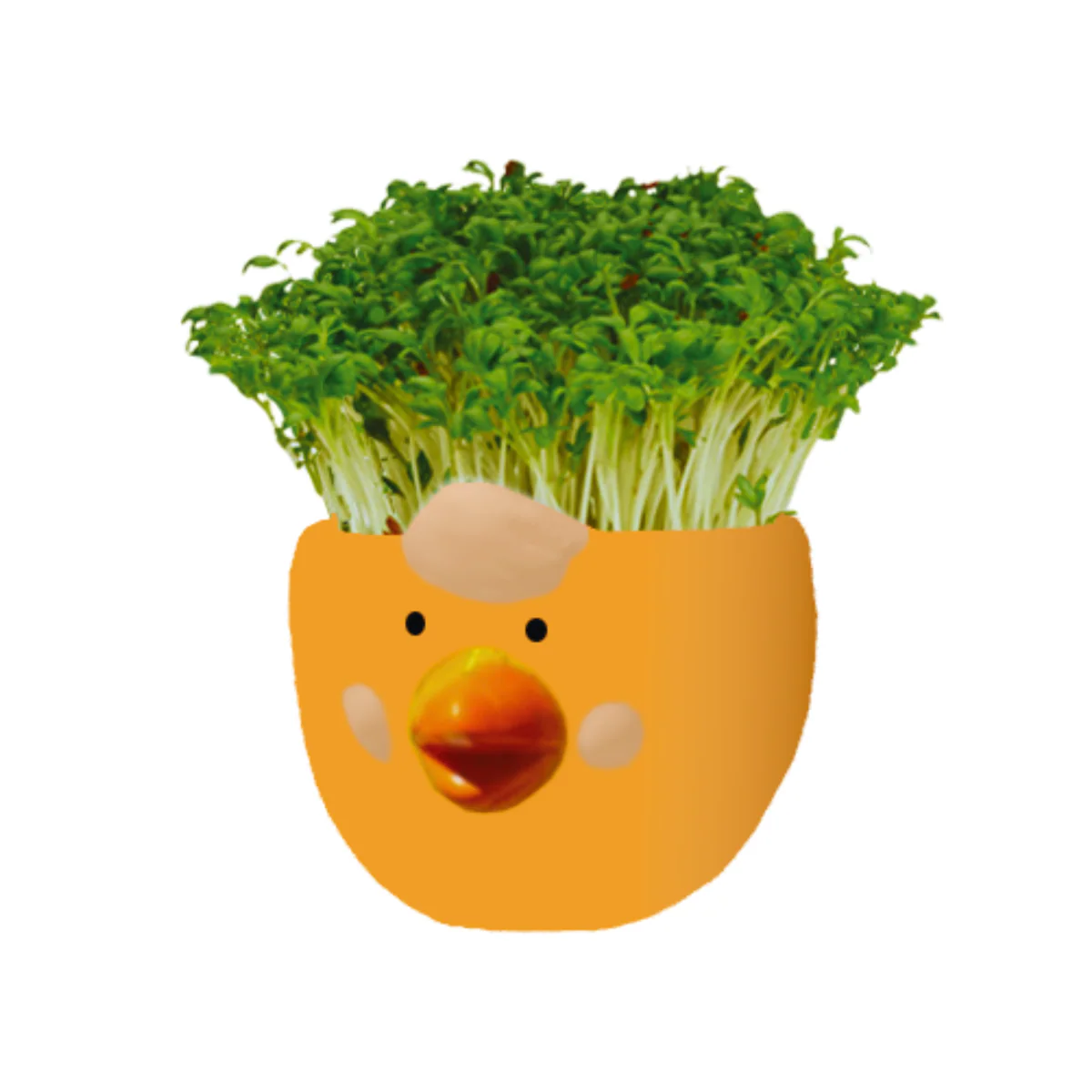 Mr Fothergill Cress Chick Grow Kit - Assorted Colours - 1 Ceramic Pot - 6 x 6 x 4.5 cm - Image 4