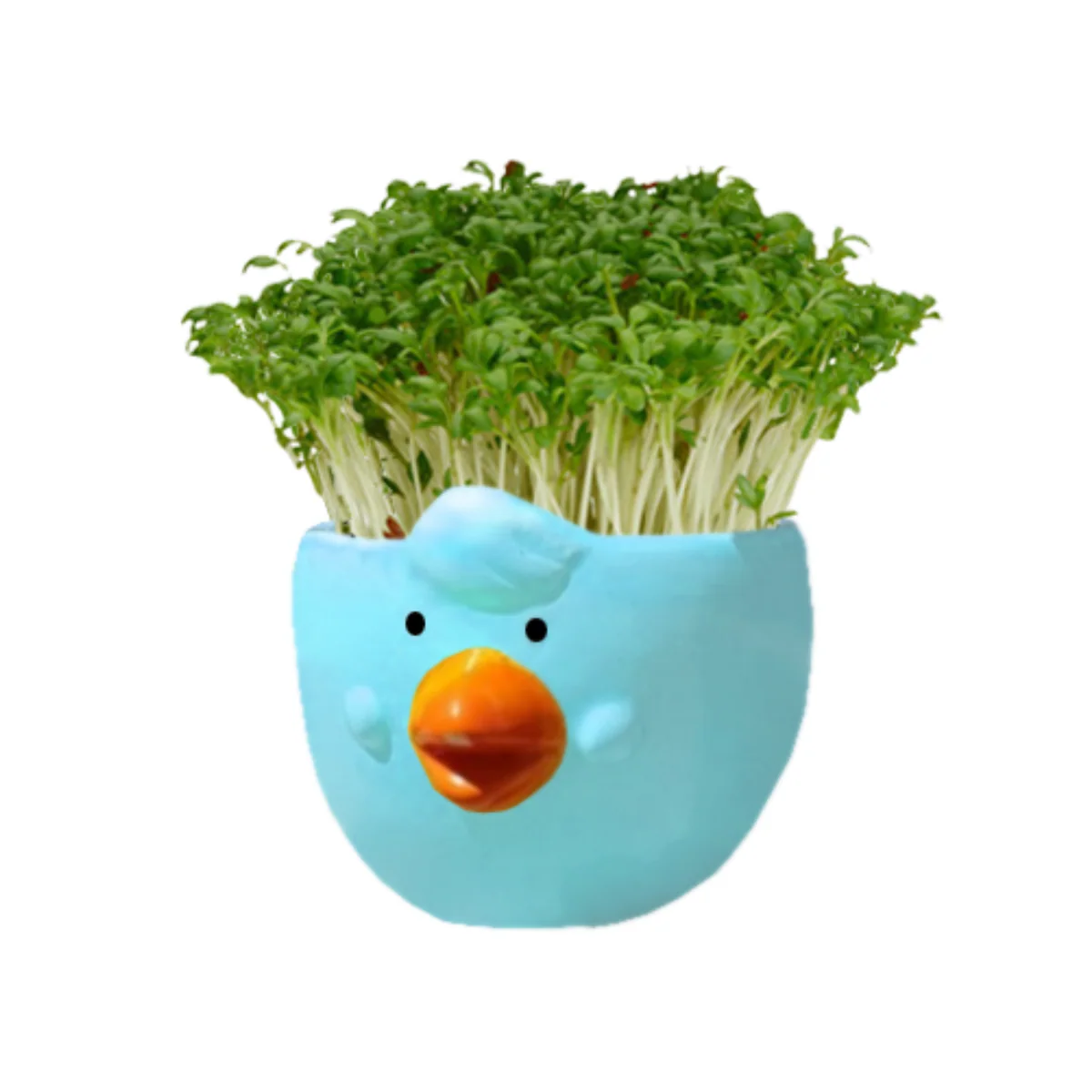 Mr Fothergill Cress Chick Grow Kit - Assorted Colours - 1 Ceramic Pot - 6 x 6 x 4.5 cm - Image 5