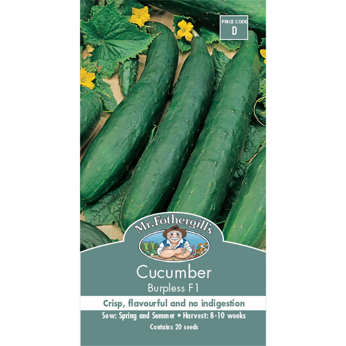 Mr Fothergill Cucumber Seeds - 10 Weeks - Vegetable - Burpless Variety