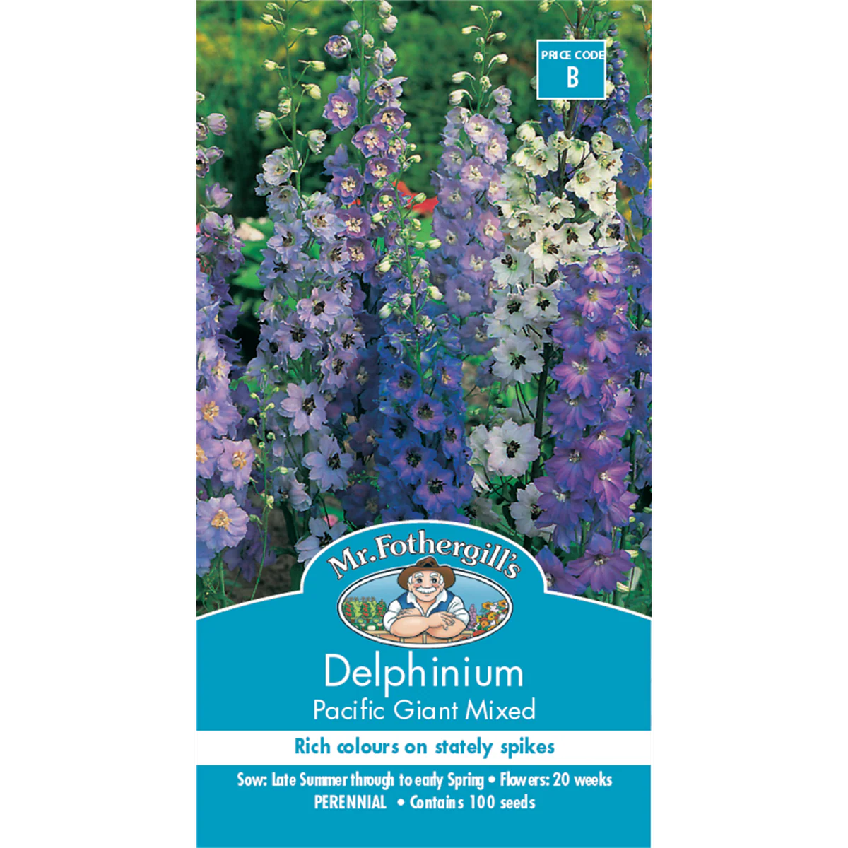 Mr Fothergill Delphinium Seeds - 200cm - Semi-Double Flowers - Strong