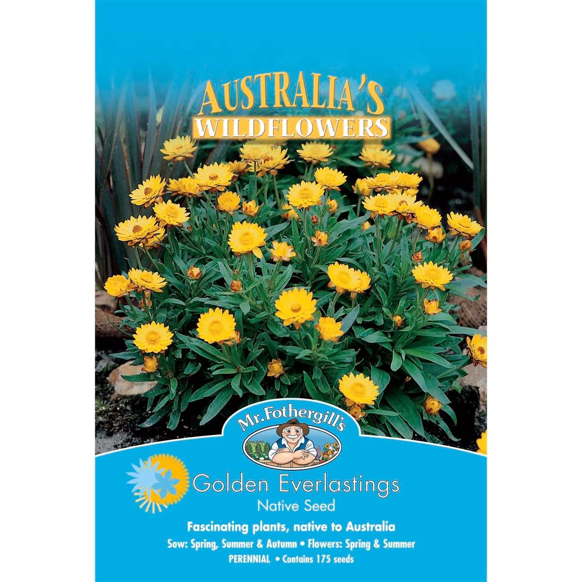 Mr Fothergill Flower Seeds - 100cm - Seeds - Easy to Grow