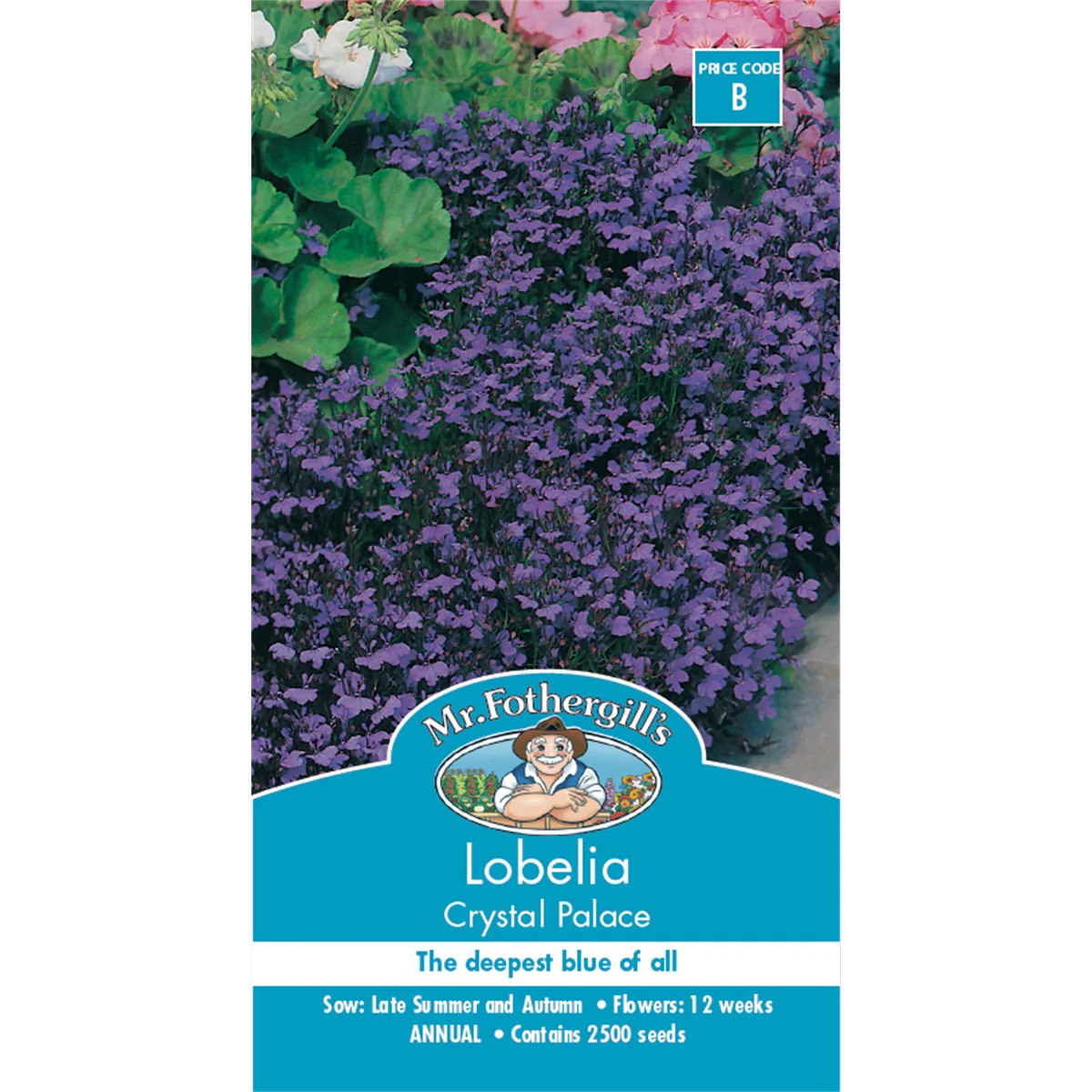 Mr Fothergill Lobelia Crystal Palace Flower Seeds - 15cm - Annual - Blue Flowers