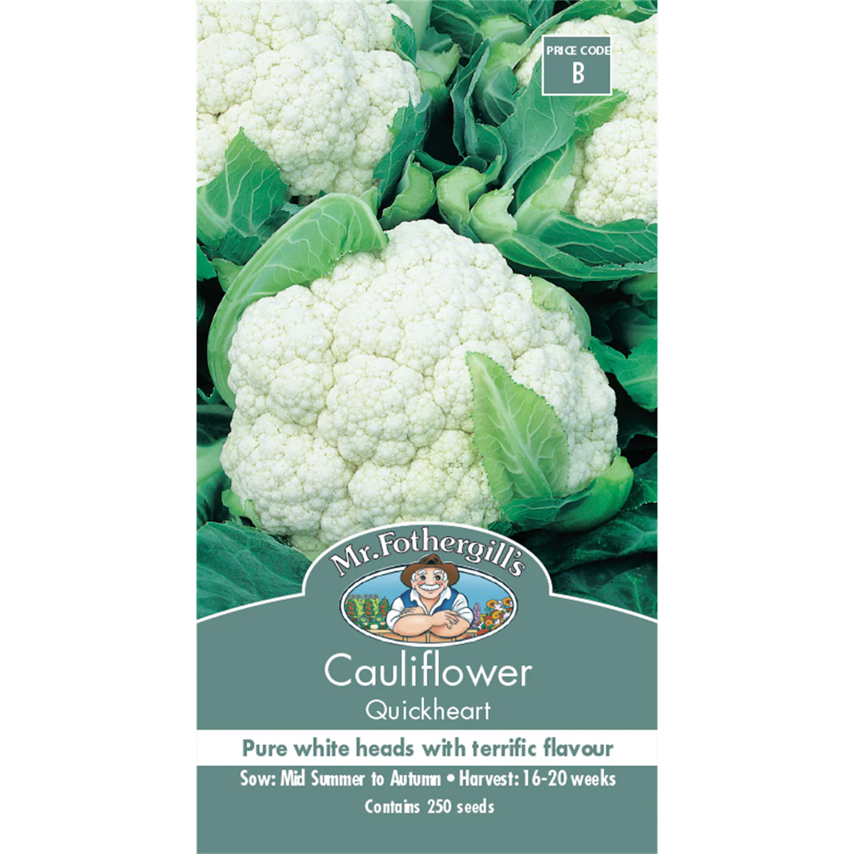 Mr Fothergill Quickheart Cauliflower Seeds 75mm White High Yield