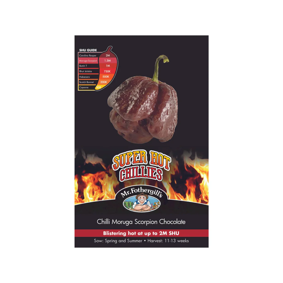Mr Fothergill S Chilli Moruga Scorpion Chocolate Seeds - 20 Pack - 2 Million SHU