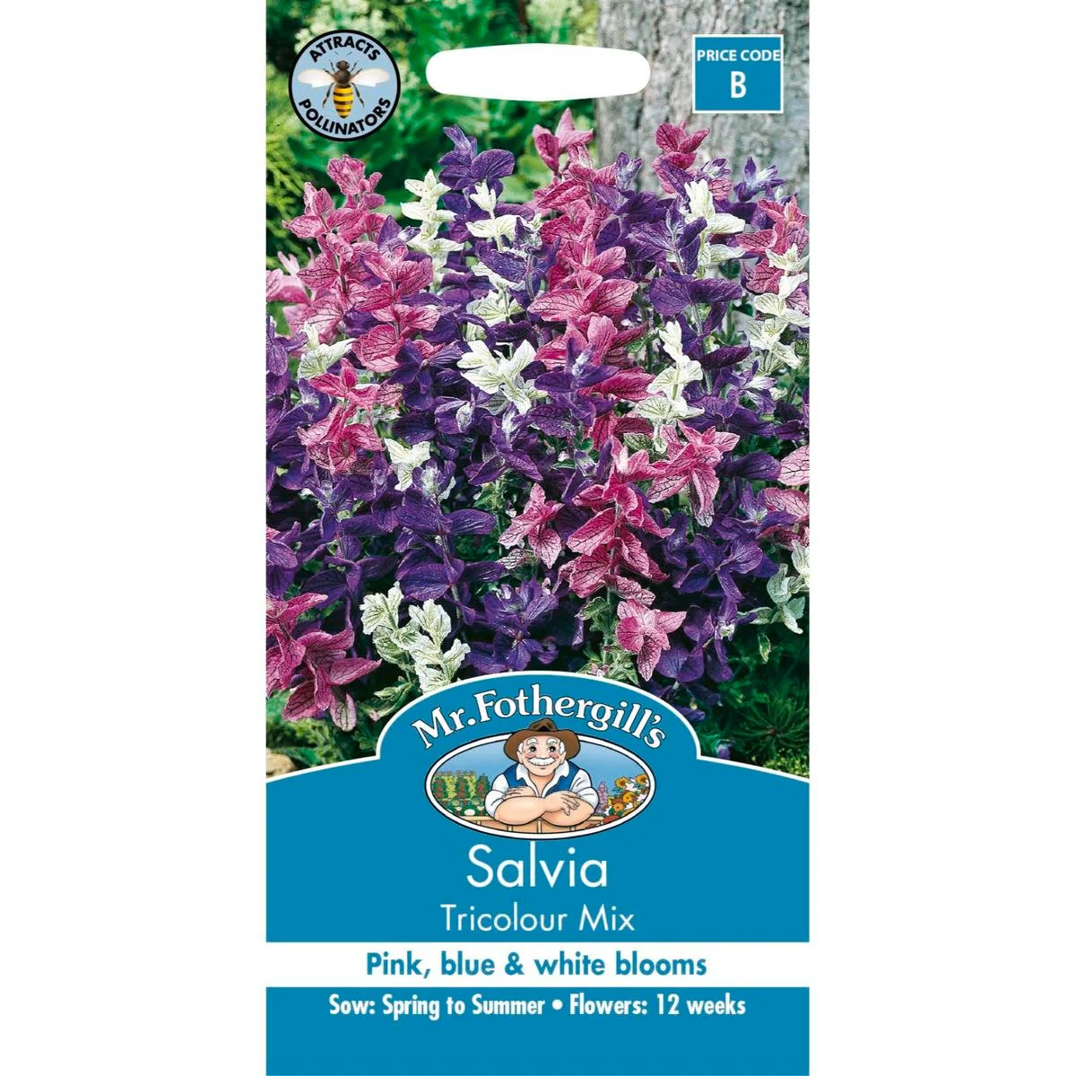 Mr Fothergill Salvia Tricolour Mix - 75mm - Seed - Attracts Bees