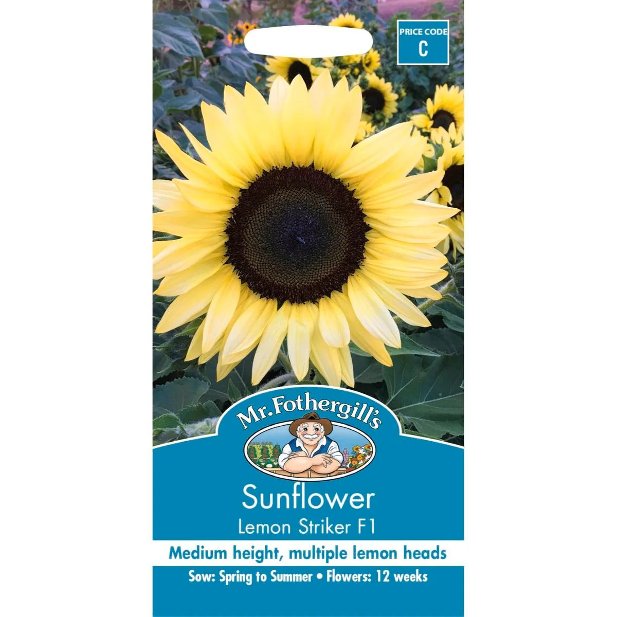 Mr Fothergill Sunflower Seeds - 120cm - Seed - Pollen Free