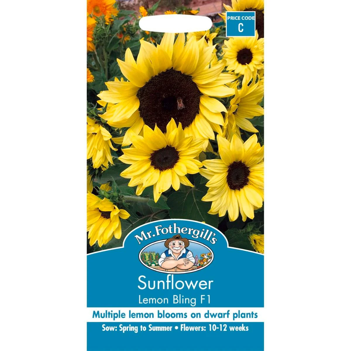 Mr Fothergill Sunflower Seeds - 45cm - Seed - Pollen Free