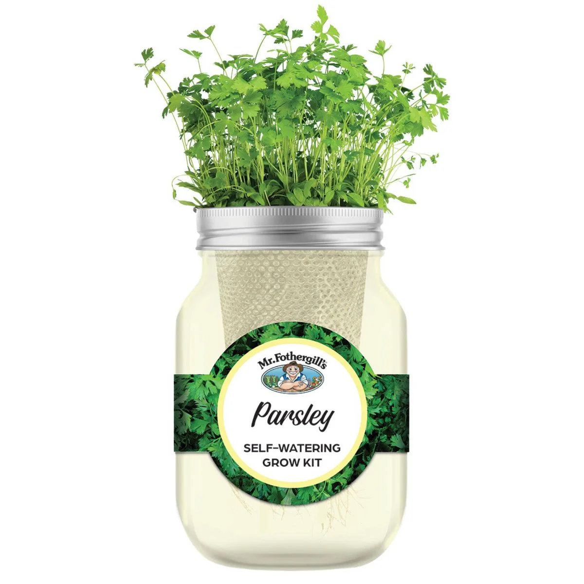 Mr Fothergill's Self Watering Mason Jar Grow Kit - Parsley - 90mm x 172mm - Yellow - Year-Round Cultivation - Image 2